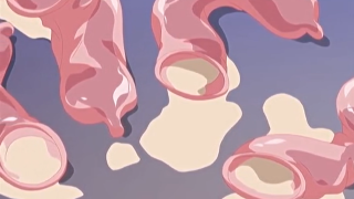 Thumbnail of post image 017