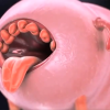 Thumbnail of related posts 075