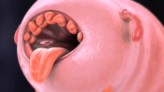 Thumbnail of post image 038