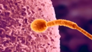 Thumbnail of post image 133
